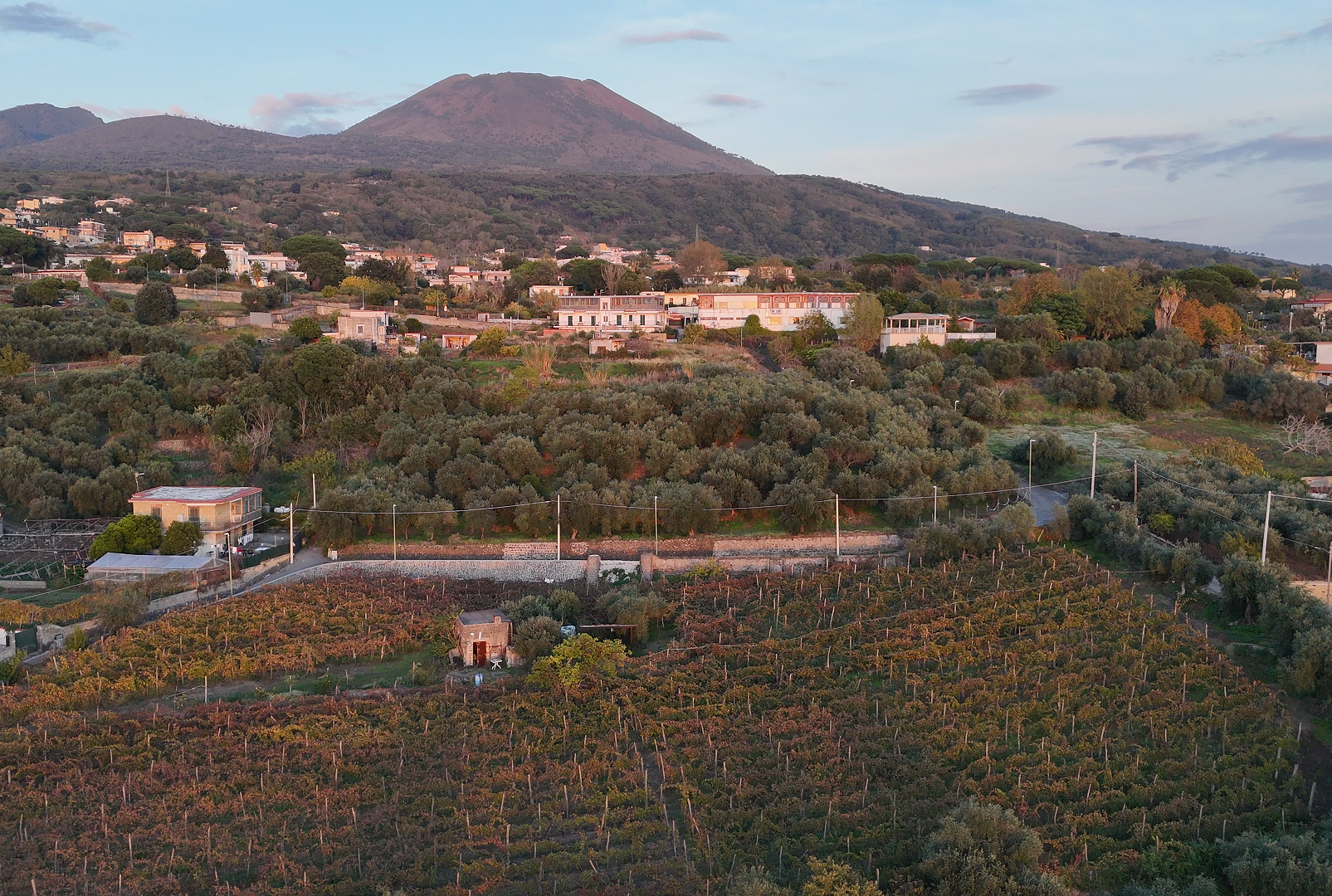 Due anime del Vesuvio